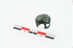 Foto von Bronzeringfußknopf (NHMW-PRAE-026019)